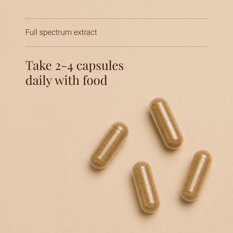 KIKI Health - Organic Maitake, Full-Spectrum Mushroom Extract - Standardised to 50% Polysaccharides - Made from 100% Fruiting Bodies - Natural Extract - 60 Veg Capsules