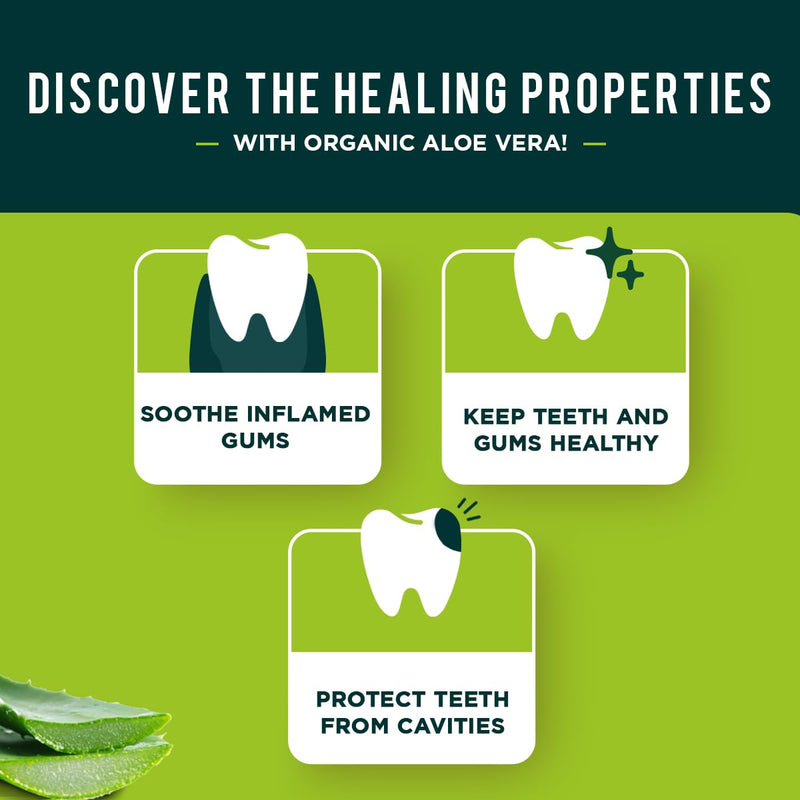 [Australia] - Dabur Herbal Toothpaste - Oral Care with All Natural, Fluoride-Free Formula and Healthy Toothpaste Bliss- Infused Brilliance for a Naturally Fresh Breath - Aloe Vera 100ml (Pack of 3) 1.13 Fl Oz (Pack of 3) 
