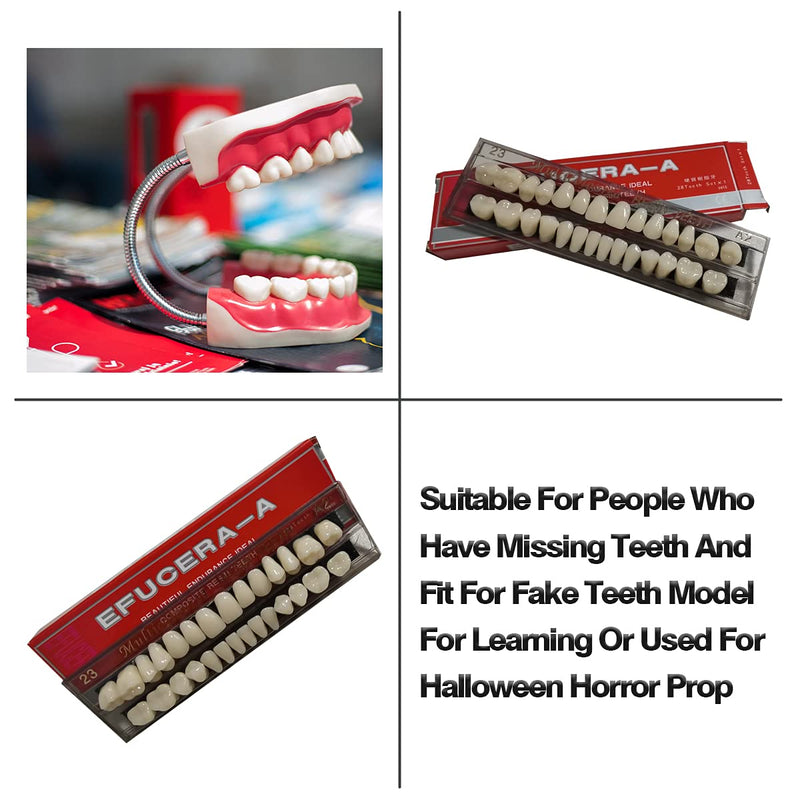 [Australia] - 56 pieces false teeth dental complete acrylic resin dentures, 2 sets whole teeth synthetic polymer dentures tooth, 23 color shades A2 upper + lower dental materials for replacement, DIY or Halloween 
