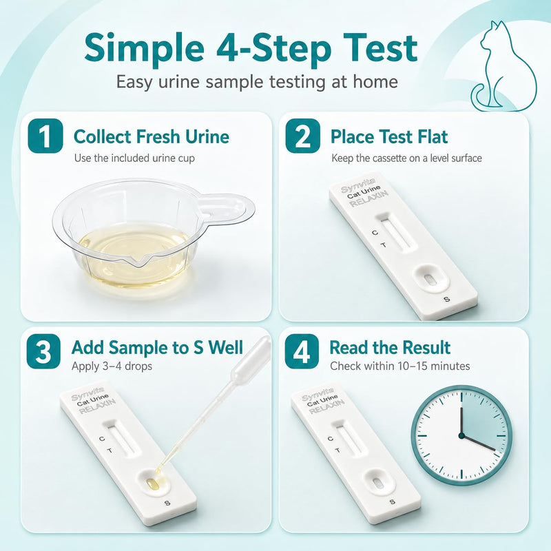 Cat Pregnancy Test Kit at Home, Urine-Based Feline Pregnancy Test, 98.8% Accurate, 10-Minute Results, Painless & Easy to Use (1 PCS)