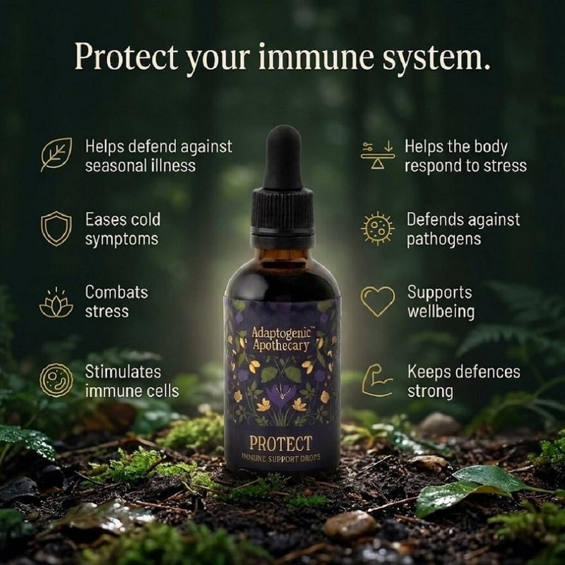 Protect – Seasonal Botanical Glycerite Drops with Elderberry, Holy Basil, Maitake, Olive Leaf & Ginger | Alcohol-Free | 50ml, 25 Servings | UK-Made, Vegan