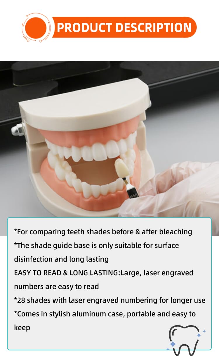 Professional 3D R-28 Dental Tooth Teeth Whitening Shade Guide for Dentist Tracking Teeth Whitening Course, Tooth Shade Guide with 28Colors
