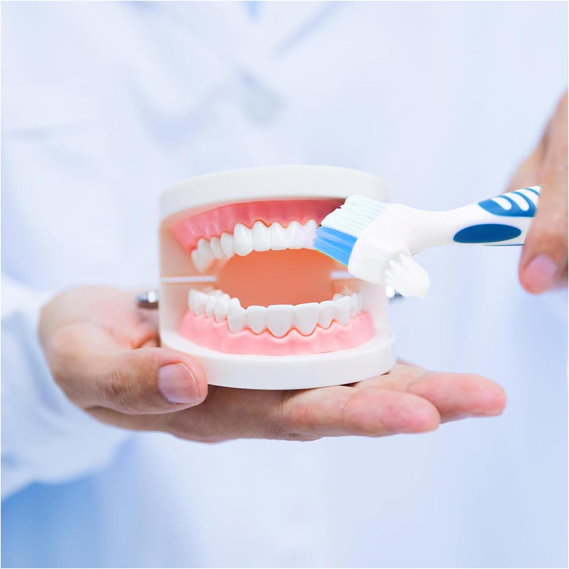 [Australia] - Pack of 6 double-sided denture cleaning brushes, denture brush, denture toothbrush, denture brush, toothbrush for dentures, ergonomic denture brush with multi-layer bristles (4 colors) 