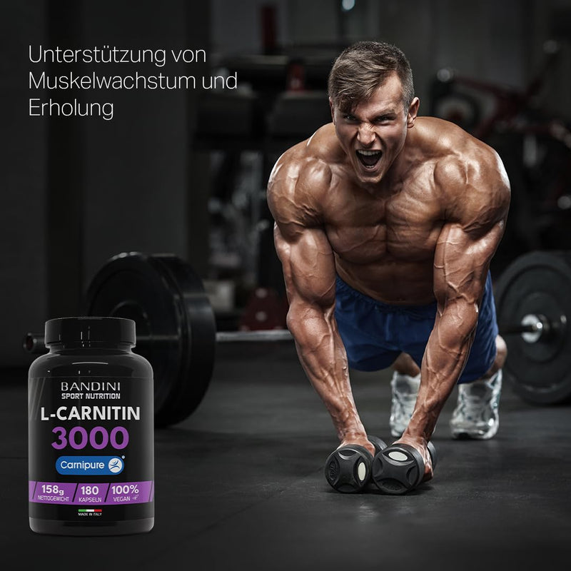 [Australia] - Bandini® L-CARNITIN Carnipure® 3000, 180 capsules, L-Carnitine, pure carnitine sports supplement, toning, energy and muscle regeneration, improves athletic performance, vegan carnitine 