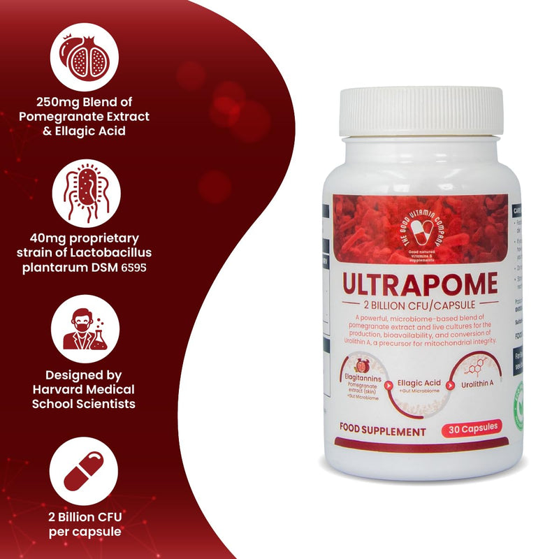 Ultrapome – Train Your Body to Produce Urolithin A Naturally. Gut Microbiome + Pomegranate Extract + Probiotics = Cellular Renewal & Mitochondrial Support. 30 Vegan Capsules