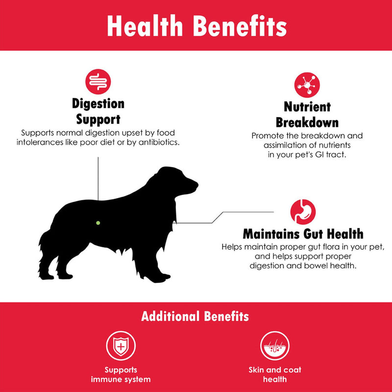 Proflora Probiotic Soft Chews for Dogs - Veterinary-Strength Daily Probiotic - Digestion Health - Boost Immune System - Skin and Coat Health - 180 Soft Chews - PawsPlanet Australia