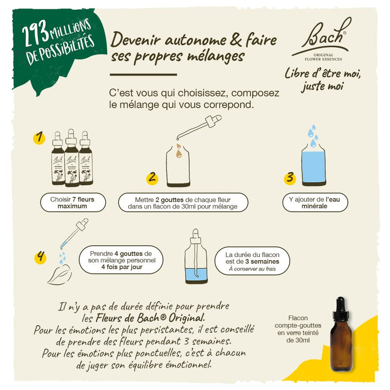 [Australia] - Bach Original Flower Remedies, Willow for Forgiveness, Natural Homeopathic Flower Essence, Holistic Wellness, Vegan, 20mL Dropper 0.68 Fl Oz (Pack of 1) 