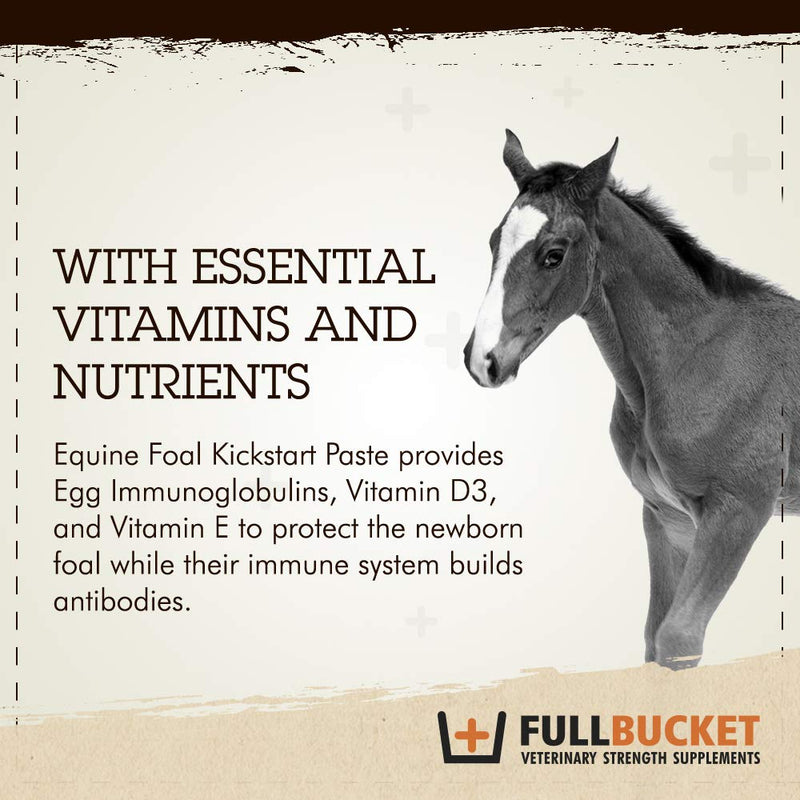 Equine Foal Kickstart Paste – Ideal for Newborn Foals on Day 1 to Support Healthy Immune & Digestive System Health, 1 Tube - PawsPlanet Australia