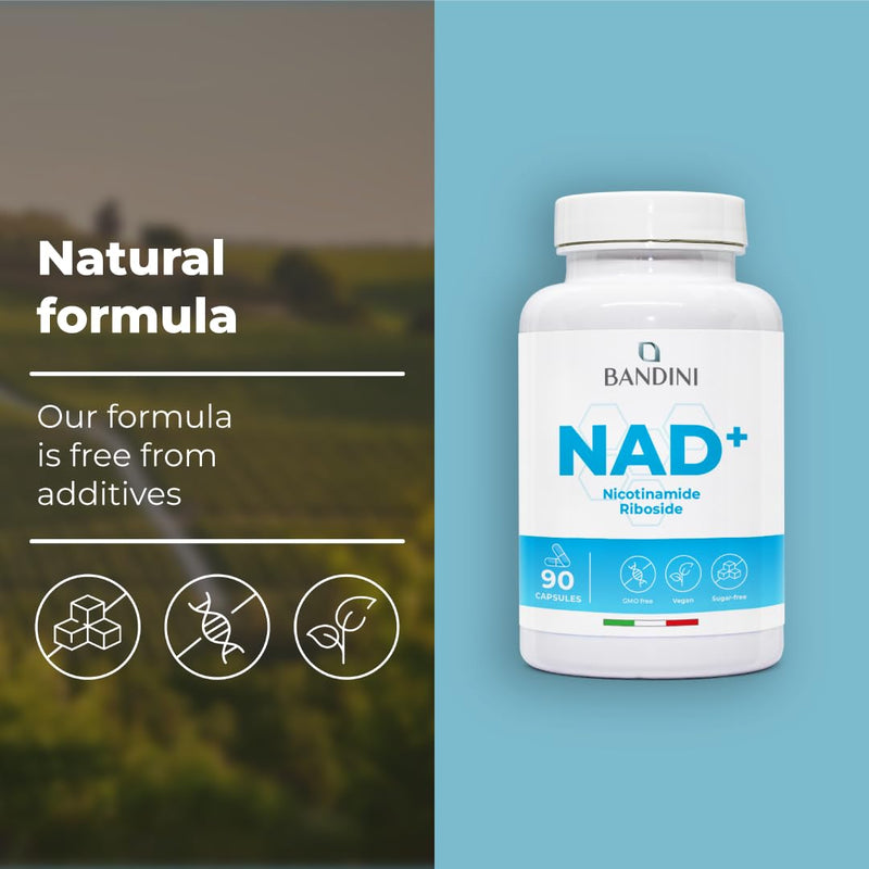 Bandini® NAD+ Supplement Nicotinamide Riboside Chloride 300 mg | 3 Months Supply | NAD Booster | Energy, Healthy Aging Support & Fatigue Reduction | 90 Vegetarian Capsules | Premium & Vegan
