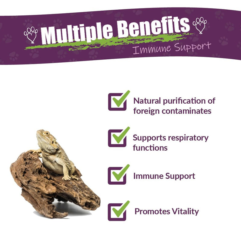 AMBER NATURALZ Reptaid Herbal Supplement for Small Reptiles | Herbal Pet Supplement for Immune Support | for Reptiles Under 250g | 1 Fluid Ounce Glass Bottle | Manufactured in The USA 1 Ounce (Pack of 1) - PawsPlanet Australia