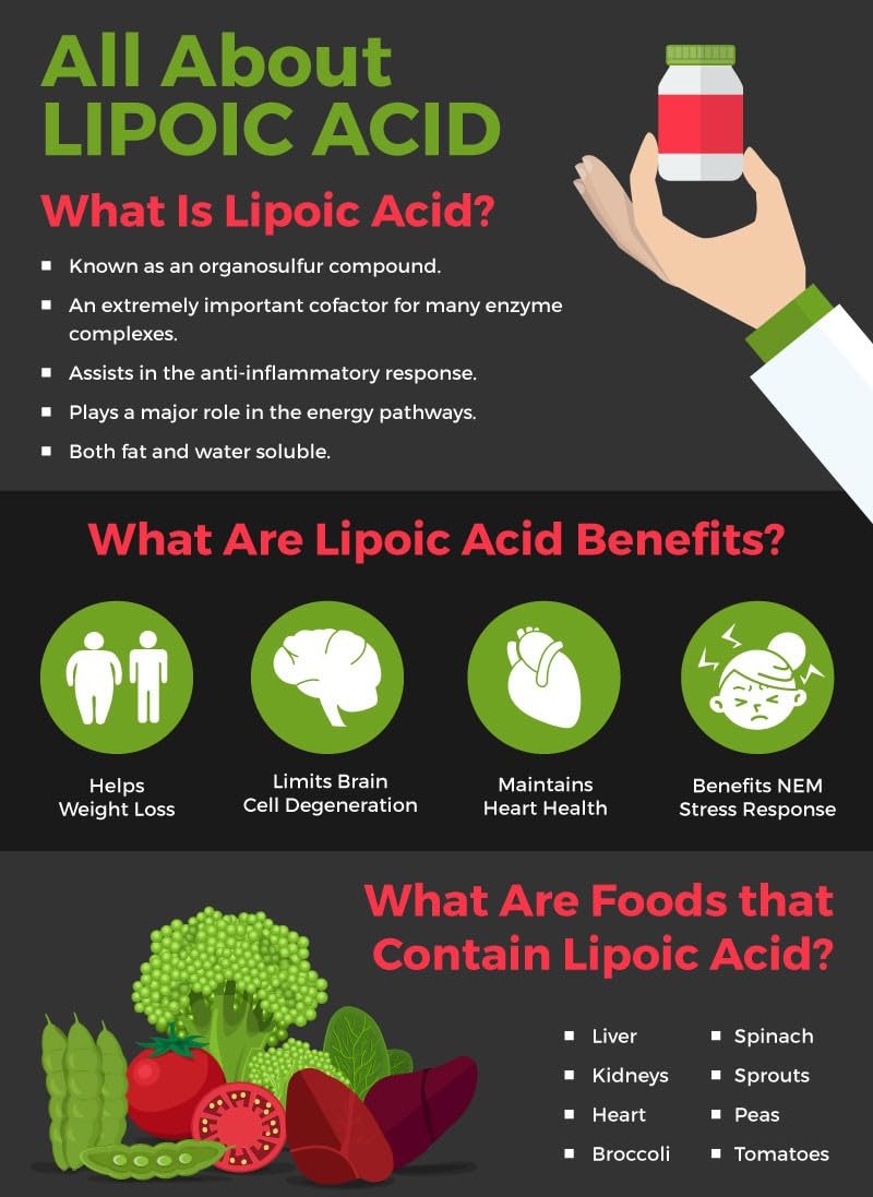 AMINOLAB - R-Fraction Alpha LIPOIC Acid 600mg 240 Capsules - Supports Nerve Health, Blood Sugar Balance, and Powerful Antioxidant Protection.