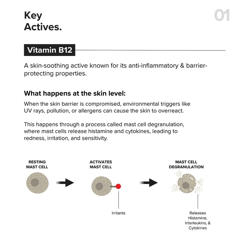Minimalist Vitamin B12 Complex 5.5% Face Moisturizer with Panthenol & Ceramides | Strengthens Skin Barrier, Boosts Hydration, Soothing, Lightweight Gel Texture | 1.7 Oz/50 gm