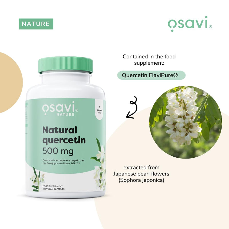 Osavi Natural Quercetin 500 mg – 60 Vegan Capsules | FlaviPure® Quercetin from Japanese Pagoda Tree | Supports Immunity & Reduces Oxidative Stress | Derived from 6000 mg Sophora Japonica