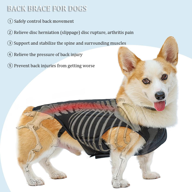 IVDD Back Brace for Dogs, Flexible Pet Dachshund Back Supporting Vest, Dog Back Bracer for Small Pet with Arthritis, Back Pain,Herniated Disc,Spinal Surgical Recovery (M) Medium - PawsPlanet Australia