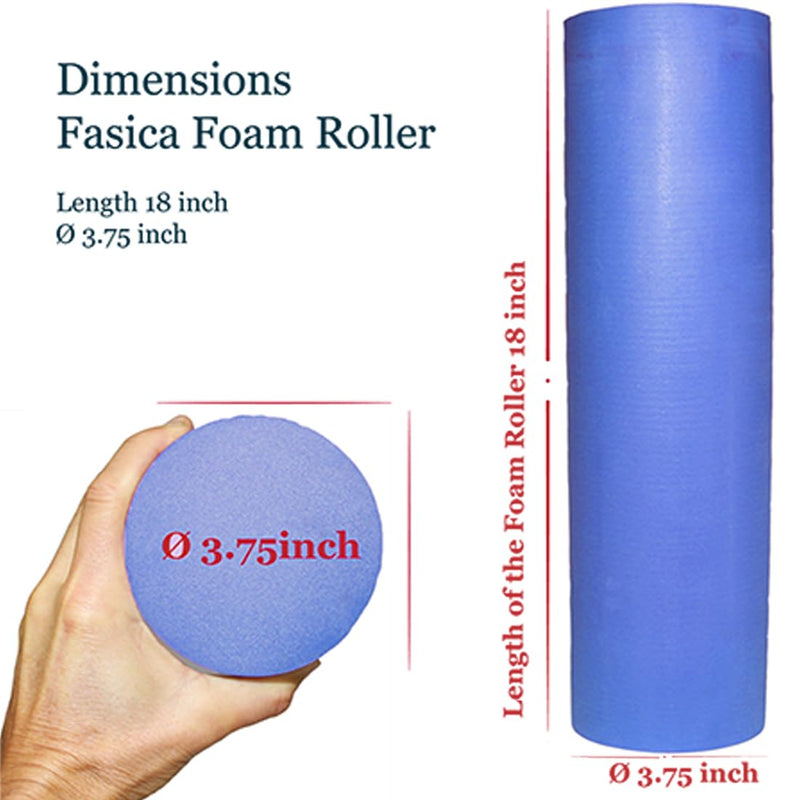 [Australia] - Foam Roller Back Leg Muscle Pain - Small Size Hard Density EVA Muscle Recovery Roll Ø3.75"x18" for Physical Therapy, Helps as Spine Cracker Stretcher 