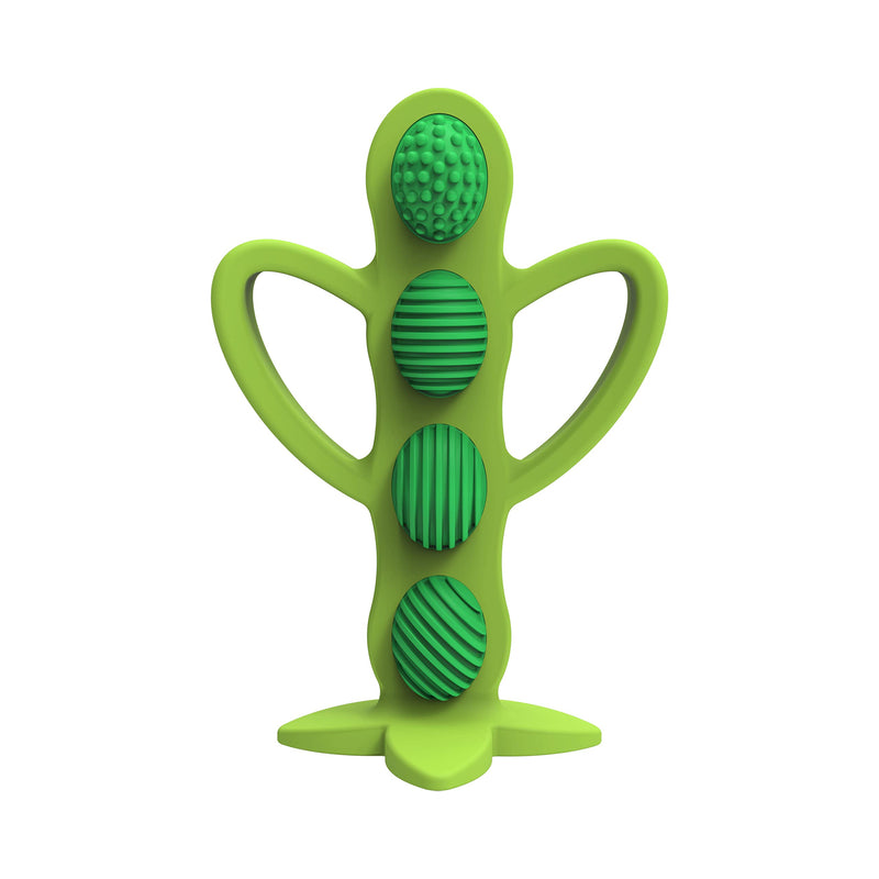 [Australia] - Dr. Brown's Peapod Teether and Training Toothbrush, Soft and Safe for Baby Gums and First Teeth, BPA Free, 100% Silicone, 3m+ Peapod Toothbrush/Teether 