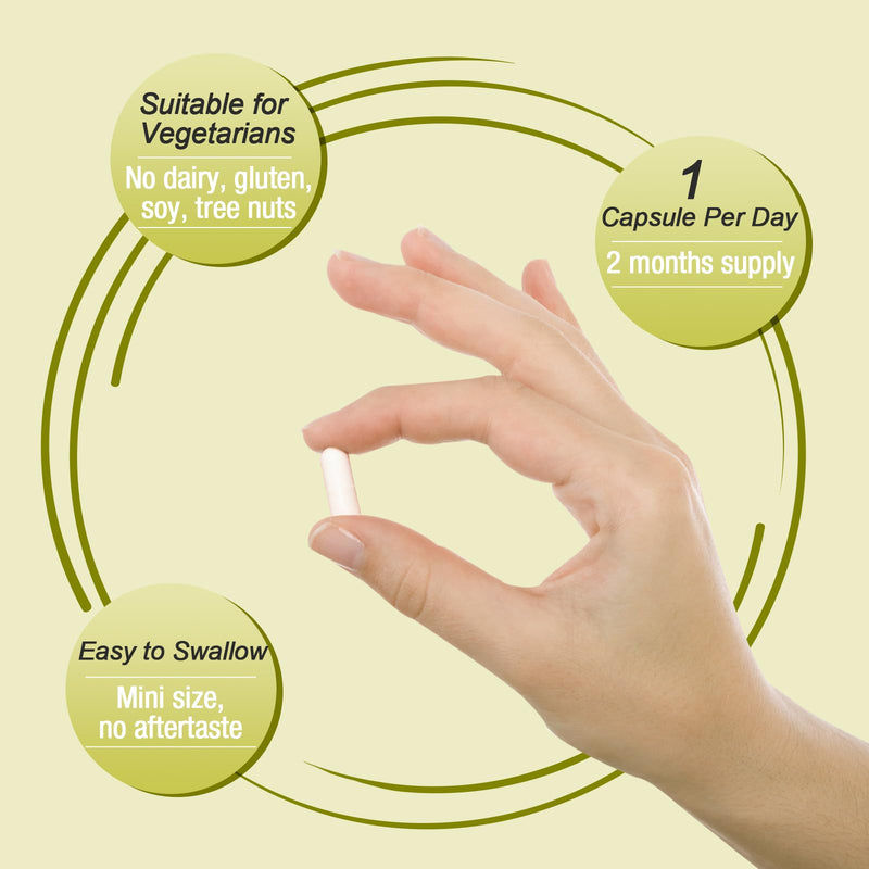 [Australia] - Ascuoli Probiotics for Women & Men - 300 Billion CFU, 22 Strains Probiotics + 15 Organic Herbs Blend, Daily Probiotics for Digestive Health, Immune, Gut, Bloating - 60 Capsule 60 Count (Pack of 1) 