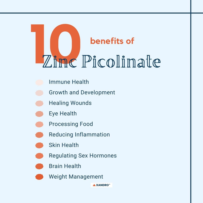 ECO-VITS Zinc Picolinate 50mg 240 Capsules, Immune System Health, Skin, Hair & Nails, Cognitive Function, Wound Healing & Tissue Repair