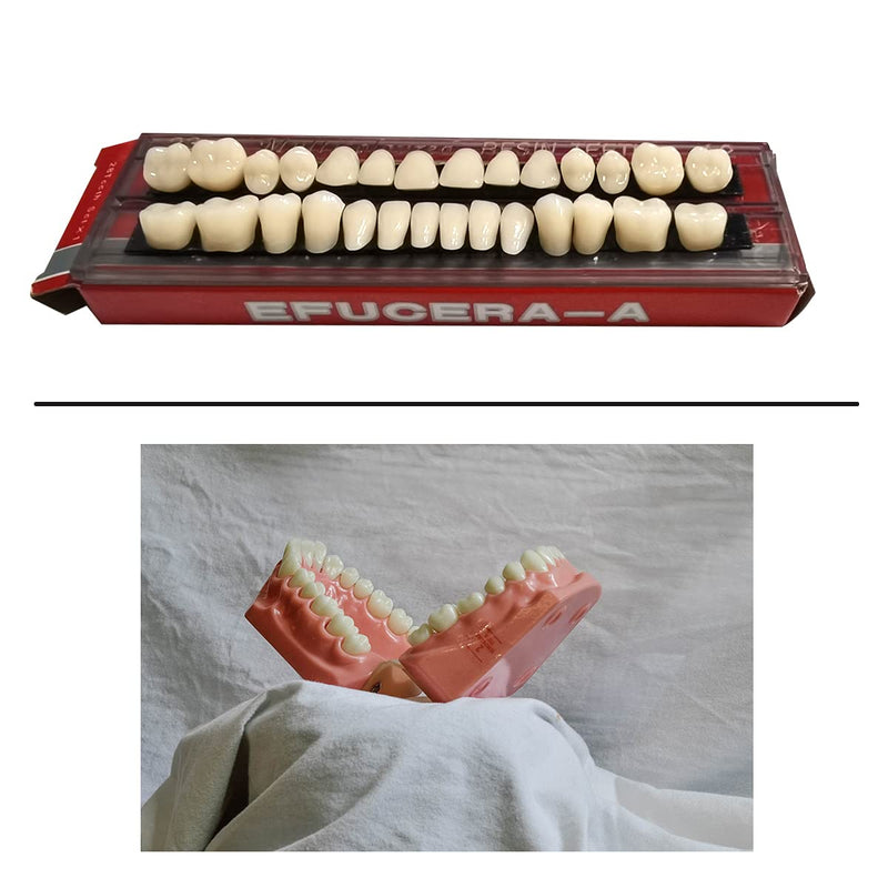 [Australia] - 56 pieces false teeth dental complete acrylic resin dentures, 2 sets whole teeth synthetic polymer dentures tooth, 23 color shades A2 upper + lower dental materials for replacement, DIY or Halloween 