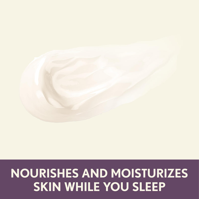 Aveeno Absolutely Ageless Restorative Night Cream Face & Neck Moisturizer with Antioxidant-Rich Blackberry Complex, Vitamin C & E, Hypoallergenic, Non-Greasy & Non-Comedogenic, 1.7 fl. oz 1.7 Fl Oz (Pack of 1)