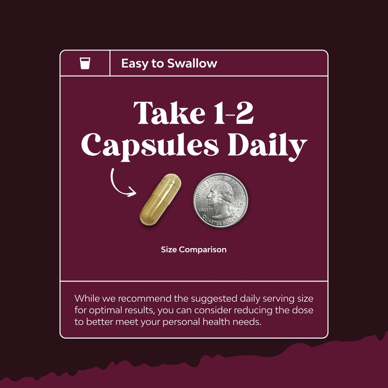 [Australia] - Advanced Kidney Support Supplement - Kidney Cleanse Detox & Repair Cranberry Extract Capsules with Uva Ursi, Stinging Nettle & Astragalus for Kidney Health - Urinary Tract Health - 60 Caps 60 Count (Pack of 1) 