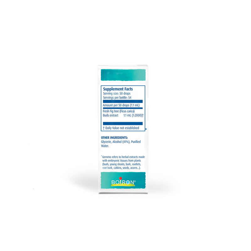 Boiron Fig Tree Herbal Supplement - 2 oz | Gemmotherapy / young-shoots herbal supplement. Size: 2 oz.
