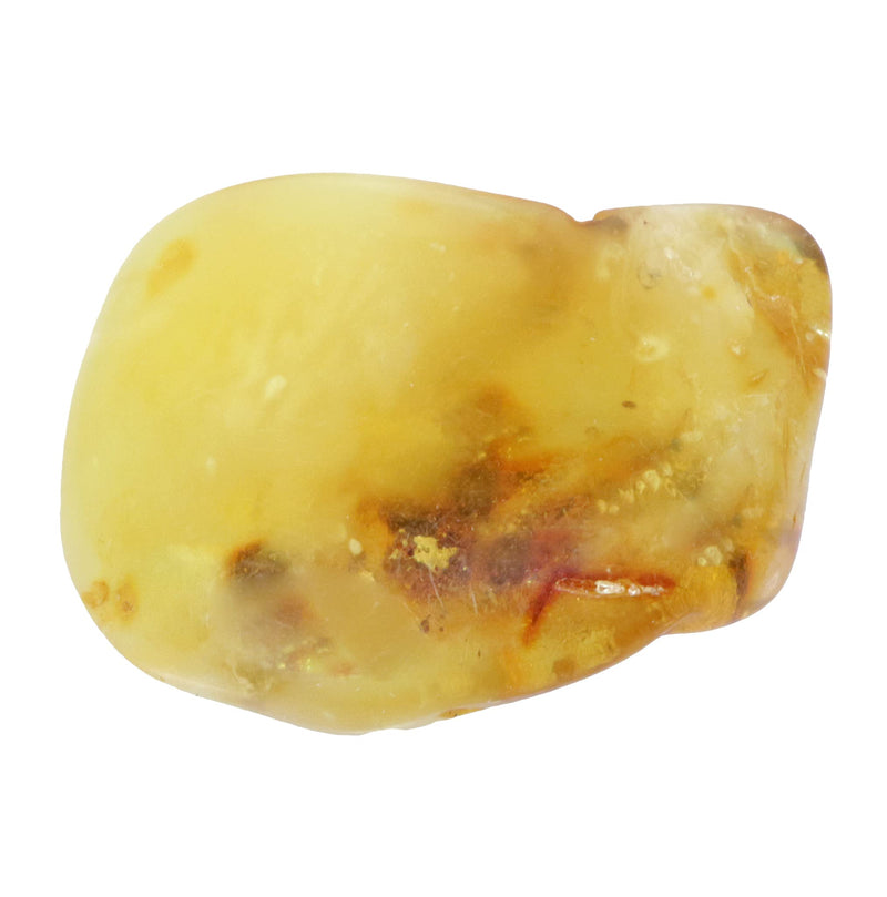[Australia] - Source of Life Plus Popular Tumbled Stone | Tumbled stones polished | Gemstone Hand Flatterer Pocket Stone (Amber, M) Amber 