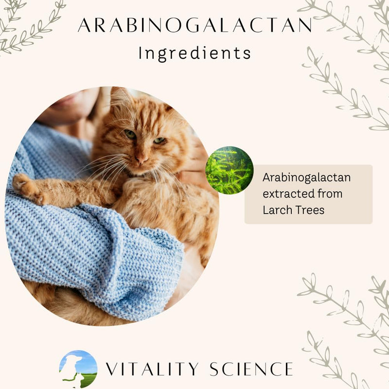 Arabinogalactan Water Soluble Prebiotic for Cats and Dogs | 100% Natural | Supports Immune Health | Maintains Proper Gut and GI Tract | Optimum Digestive Health (120g) 120g - PawsPlanet Australia