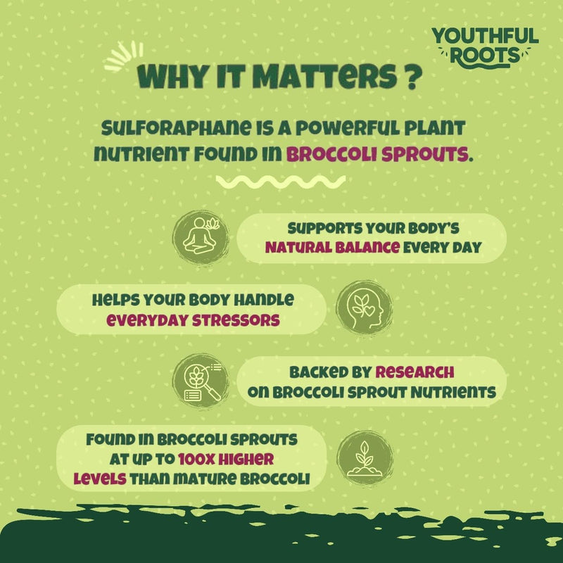 Sulforaphane Supplement Gummies | Broccoli Sprout Extract with 34.5mg Glucoraphanin, Antioxidant, Multivitamin A to K, Zinc | 90 Gummies with Strawberry Flavour | Immune & Mood Support