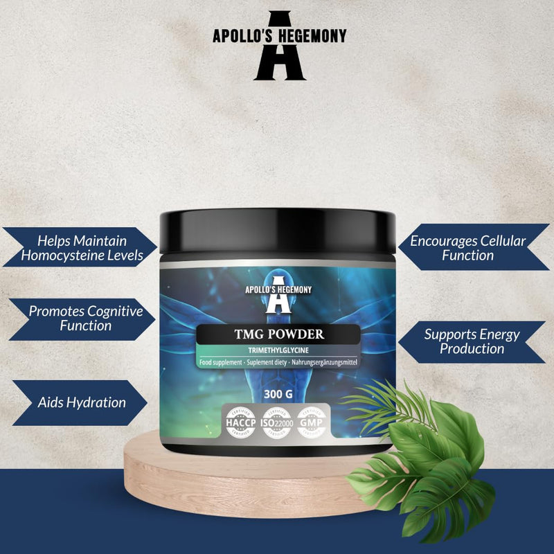 TMG Powder 300 g - Betaine - 2000 mg Trimethylglycine per Serving - 150 Servings per Pack - No Additives - Branched Chain Amino Acids - Support Metabolism - by Apollo's Hegemony