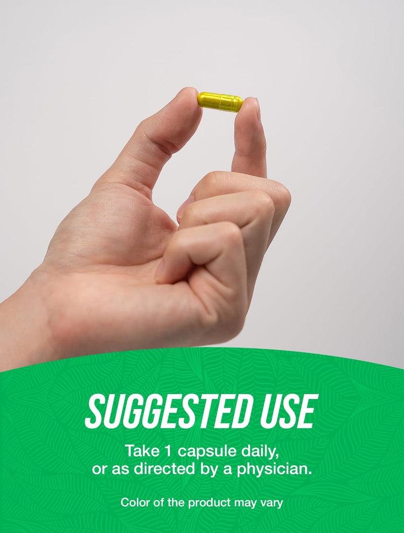 [Australia] - BulkSupplements.com Alfalfa Extract Capsules - Alfalfa Supplement, Green Superfood Supplement, Alfalfa Capsules - Gluten Free, 1 Capsule per Serving, 240 Veg Capsules (Pack of 1) 