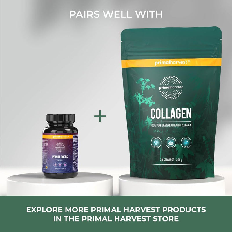 [Australia] - Primal Harvest® Kogni Boost (30 pieces) - concentration tablets for mental performance - for normal psychological function and reduction of fatigue - with L Tyrosine and Cognizin Neutral 