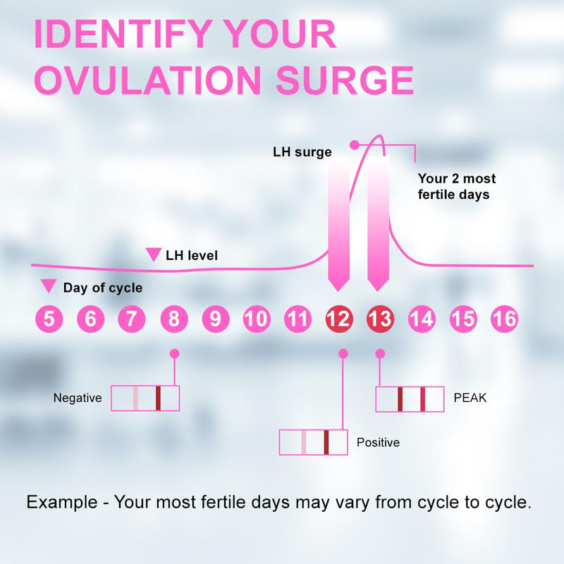 30 Ovulation Test Strips with Reusable Urine Cup Accurate Fertility Test for Women Home Ovulation Predictor Kit 3mm LH