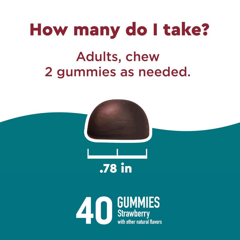 Nature Made Wellblends Stress Relief Gummies, 40 Strawberry Flavor Gummies | L theanine 200mg to Help Reduce Stress, with GABA 100mg, Same Day Stress Support 40 Count (Pack of 1)