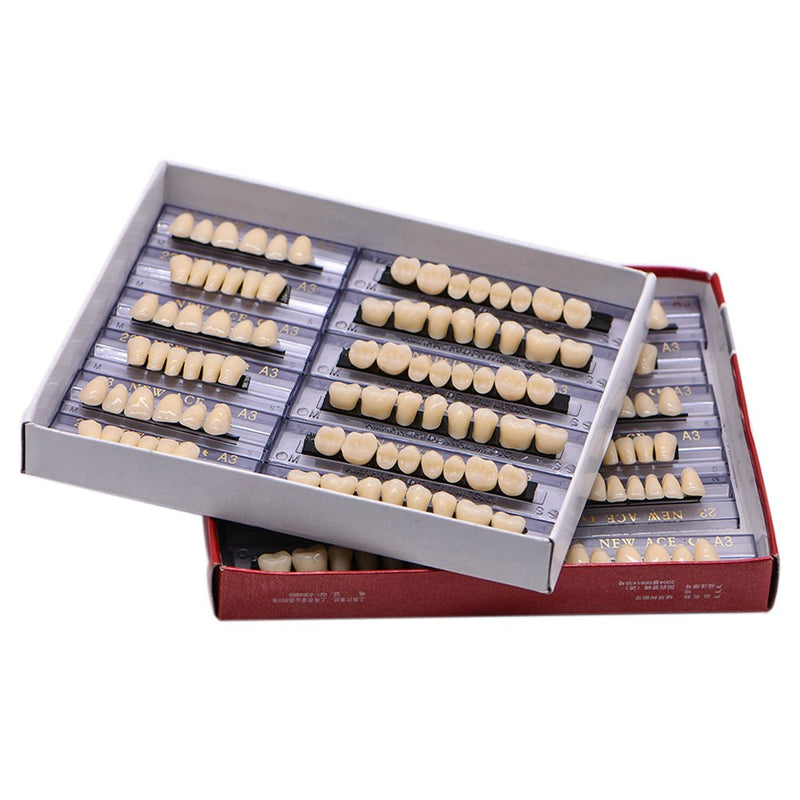 [Australia] - Angzhili Dental Synthetic Acrylic Resin False Teeth for Halloween Horror Teeth Denture Teeth Sets Shade A3 Upper And Lower Acrylic Teeth Sets(168pcs) 