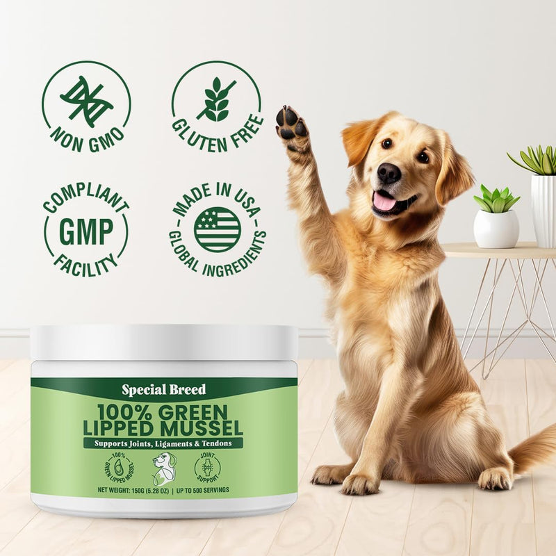 Green Lipped Mussels for Dogs & Cats - Premium Joint Supplement Powder for HIPS, Joints, and Muscles (150 Grams, Up to 500 Servings) 150 Grams - PawsPlanet Australia