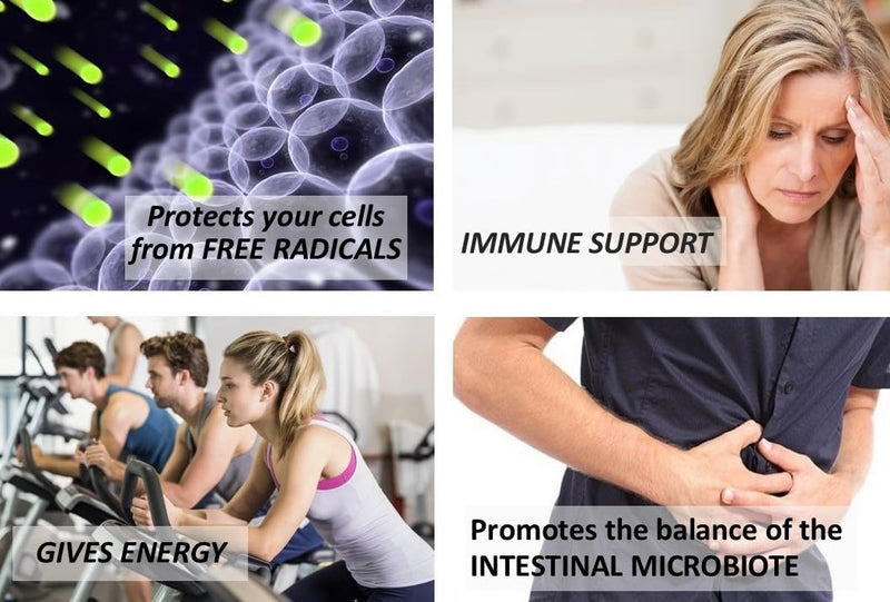 Synergy. Elderberry Supplement for Immune System Support - Powerful Natural Antioxidant. POLYPHENOLS Concentrate. Elderberries from Canada (1-Pack) 1 count (Pack of 1)
