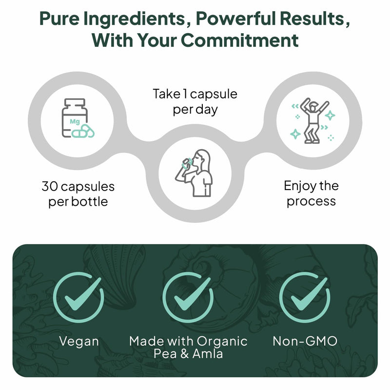 Organics Ocean Better Iron Supplement with Vitamin C - Plant-Based Fermented Pea Formula - Supports Iron Absorption, Energy & Vitality - Gentle on the Stomach, Vegan, Non-GMO - 1 Pack 30 Count (Pack of 1)