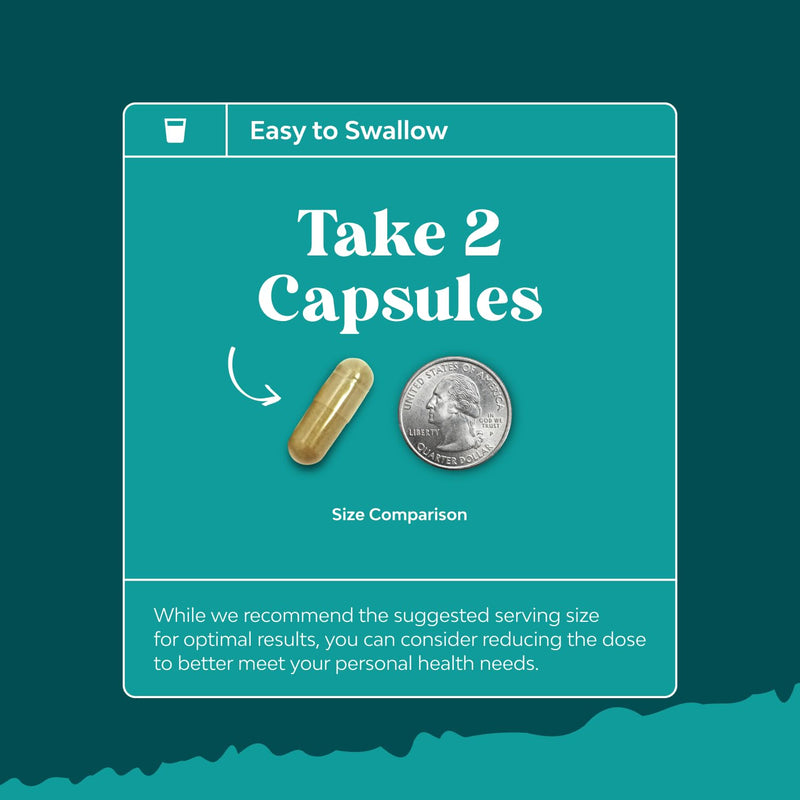 Best Liver Supplements with Milk Thistle - Artichoke - Dandelion Root Support Healthy Liver Function for Men and Women Natural Detox Cleanse Capsules Boost Immune System Relief - Natures Craft | Herbal Detox Support with Ginger, Beetroot & Artichoke - ...