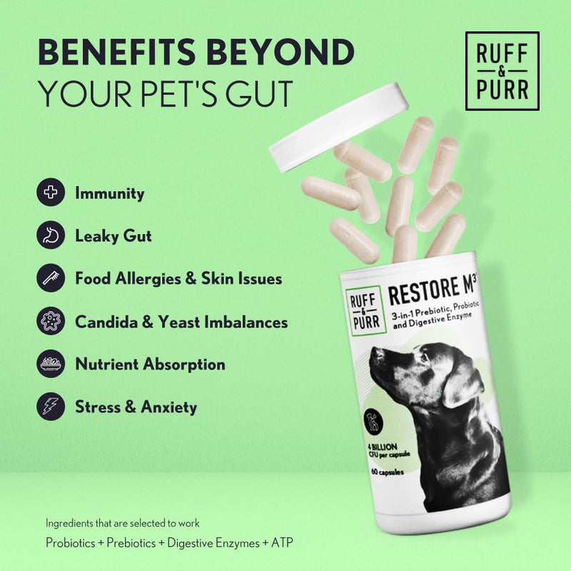 Ruff & Purr Probiotics for Dogs – Multi-Strain Probiotics and Prebiotics for Gut Health, Immune Support, Healthy Skin and Coat – Clinically Studied DE111 & PreforPro – 60 Easy to Give Capsules - PawsPlanet Australia