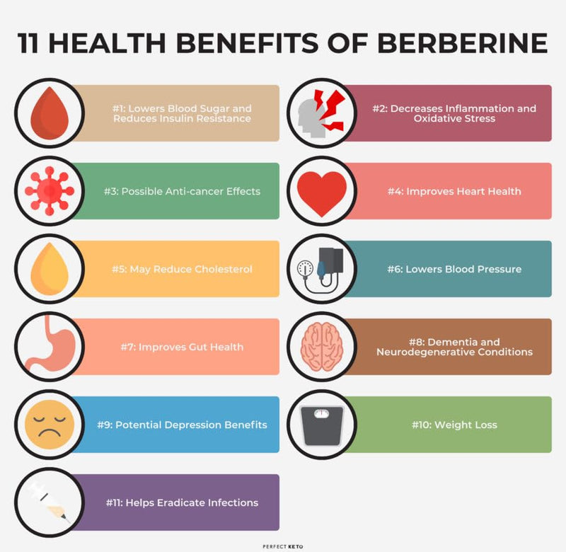 VITA PHARMA Berberine HCL Tablets 1000mg x 240, Blood Sugar Levels, Heart & Metabolic Health, Weight Management & Fat Metabolism, Energy & Digestive Wellness