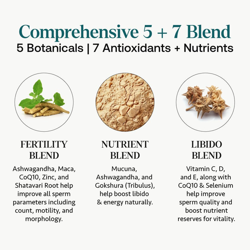 [Australia] - Osh Wellness Men's Fertility Support & Prenatal Vitamins, Ayurvedic support for Conception, Sperm Count, Motility & Volume - With Ashwagandha, Maca, CoQ10, Zinc (Pack of 1, Men Fertility Support) 