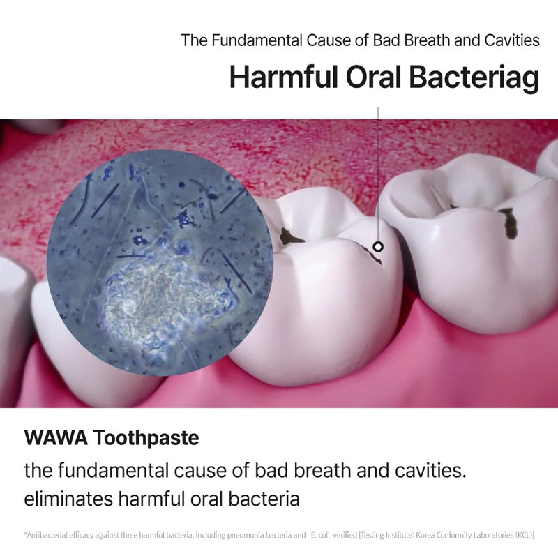[Australia] - ROROBELL Wawa Toothpaste Made for My Boyfriend's Bad Breath, Sensitive Teeth, Improvement of Gum Problems/Peppermint Flavor/Made with Wasabi I 3.53 fl.oz (Pack of 5) 0.71 Fl Oz (Pack of 5) 