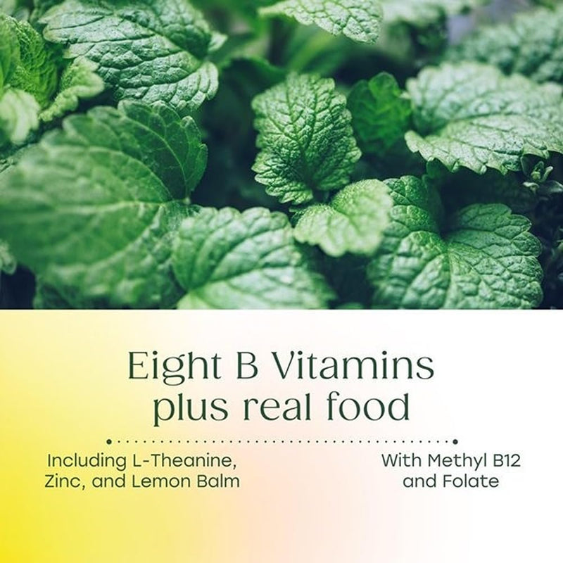 MegaFood Kids Vitamin B Complex, Cellular Energy Support, 30 Mini Tablets | Vitamin B12 and B6, Folate, Biotin, Zinc, Lemon Balm, L Theanine and More, Supports Brain Health, Vegetarian, 30 Servings 30 Count (Pack of 1)
