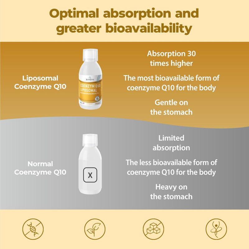 Bandini® Liposomal Coenzyme Q10 Liquid 200mg | Super Strength, Vegan Friendly, Naturally Fermented - High Absorption CoQ10 CAVAQ10® | Antioxidant Ubiquinone Co Enzyme, Alternative to softgel Capsules