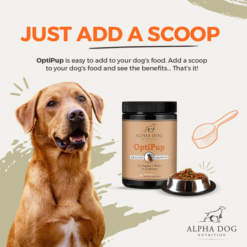 OptiPup All-in-1 Puppy Multivitamin Contains 31 Superfoods Including Probiotics and Prebiotics for Digestive Support, Skin & Immune Health, and Optimum Growth (60 Servings) 10.72 Ounce (Pack of 1) - PawsPlanet Australia