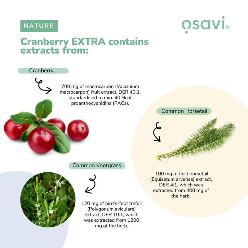 Osavi Cranberry Extra – 30 Vegan Capsules | Extract from Cranberry (Vaccinium macrocarpon) Fruit | Standardised to 40% proanthocyanidins (PACs) | Enriched with Knotgrass and Common Horsetail extracts