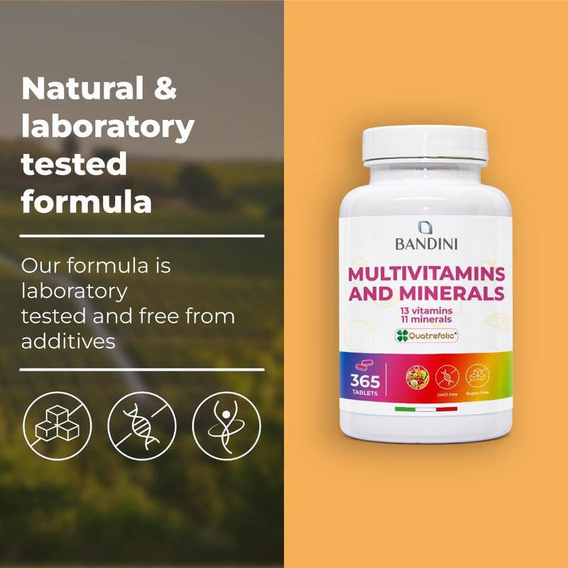 Bandini® Multivitamin | 365 High Strength Tablets (1 Year Supply) | Complex of 24 Vitamins and Minerals | Support Energy Metabolism and Immune Function | for Men and Women