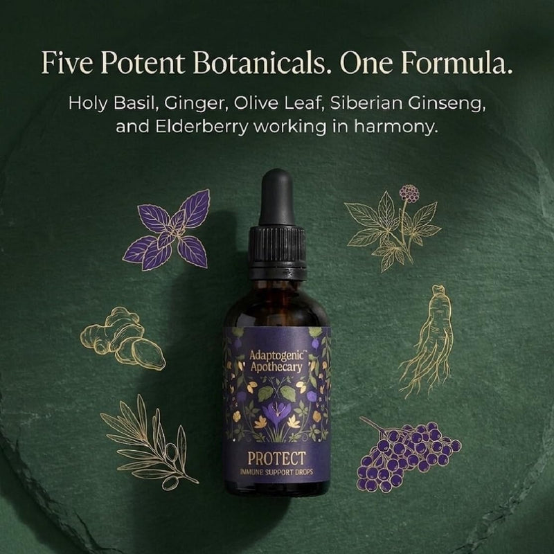 Protect – Seasonal Botanical Glycerite Drops with Elderberry, Holy Basil, Maitake, Olive Leaf & Ginger | Alcohol-Free | 50ml, 25 Servings | UK-Made, Vegan