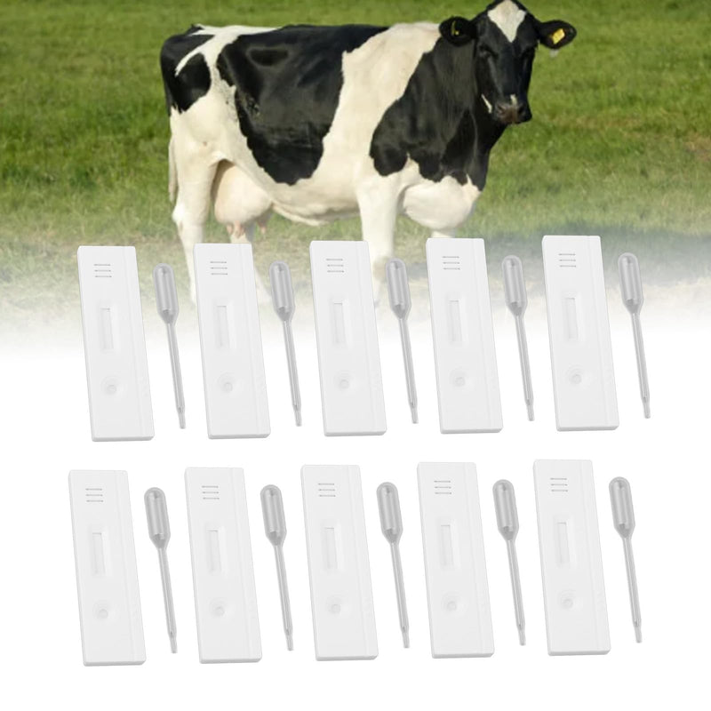Fdit Cow Pregnancy Test Strips High Accuracy Quick Detection Early Pregnancy Diagnosis Tool